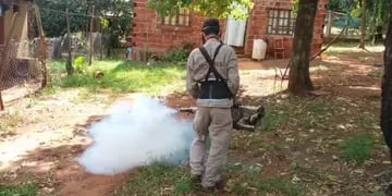 Realizaron operativos de fumigación contra la leishmaniasis en Puerto Iguazú