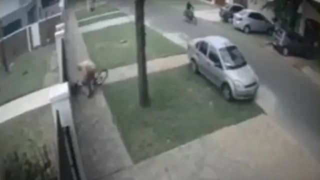 Tiraron a un chico al piso para robarle la bicicleta