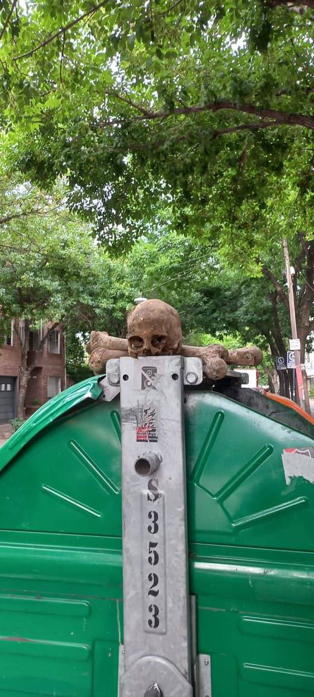 El cráneo y parte de los restos fueron colocados a la vista en la calle.