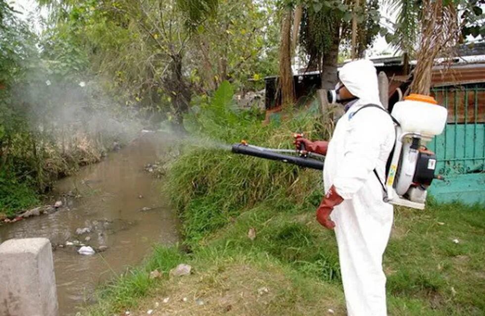 Dengue: malestar de vecinos por malezas en terrenos privados en Montecarlo