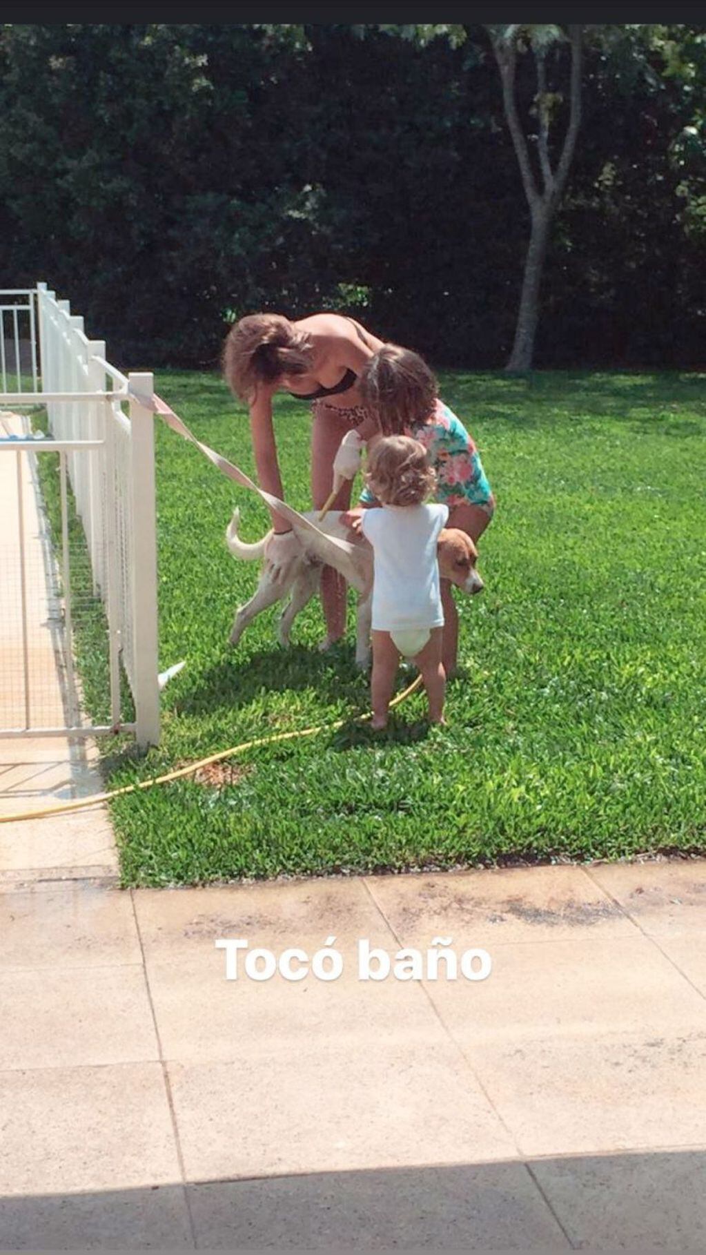 El peculiar método de la China Suárez para bañar a sus perros (Foto: Instagram/ @sangrejaponesa)