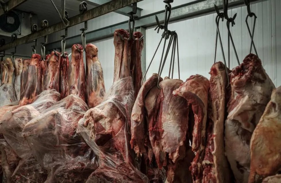 (FILES) This file photo taken on March 24, 2017 shows meat products in a cold storage room at a supermarket in Rio de Janeiro, Brazil during an inspection by the state's consumer protection agency, PROCON.\r\nThe United States announced Thursday a halt to all imports of fresh beef from Brazil, the world's second-largest producer, citing \