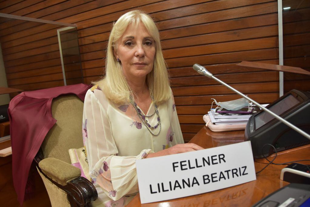 Dip. Liliana Fellner (Frente de Todos-PJ Jujuy)