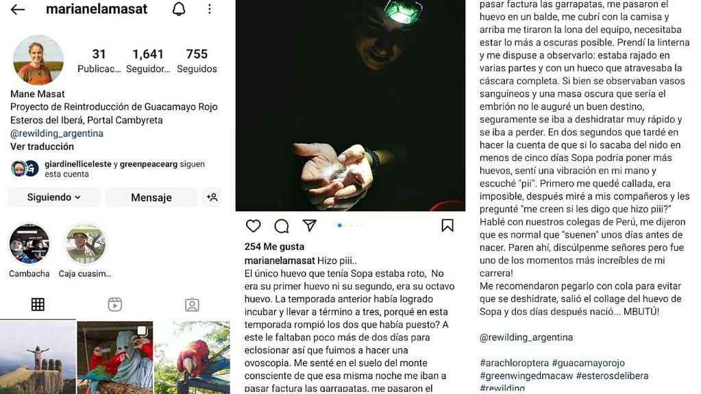 Los emotivos posteos de Marianela con historias de guacamayos.