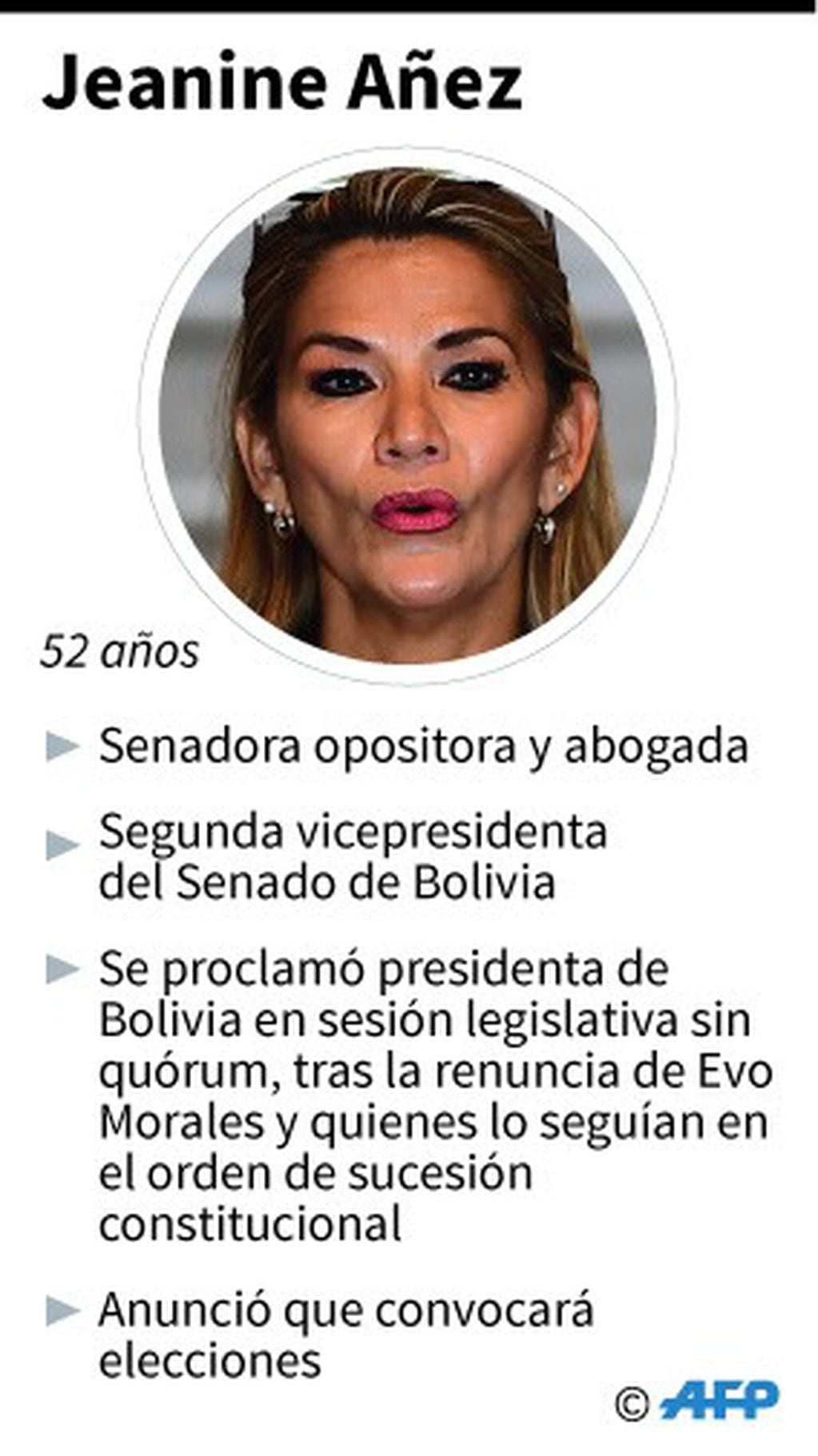 Ficha de la senadora boliviana Jeanine Añez, segunda vicepresidenta del Senado de Bolivia que se proclamó presidenta interina tras la renuncia del presidente Evo Morales - AFP / AFP