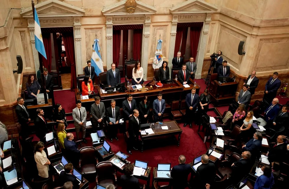 Villarruel en el Senado. (AP Foto/Natacha Pisarenko)