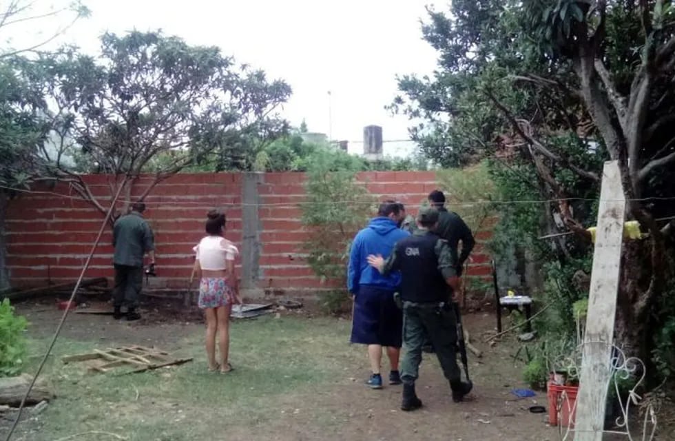 Gendarmería secuestró tres plantas de marihuana en Villa Gobernador Gálvez luego de interrumpir una pelea en la que habían agredido a personal policial. (Prensa Gendarmería Nacional)