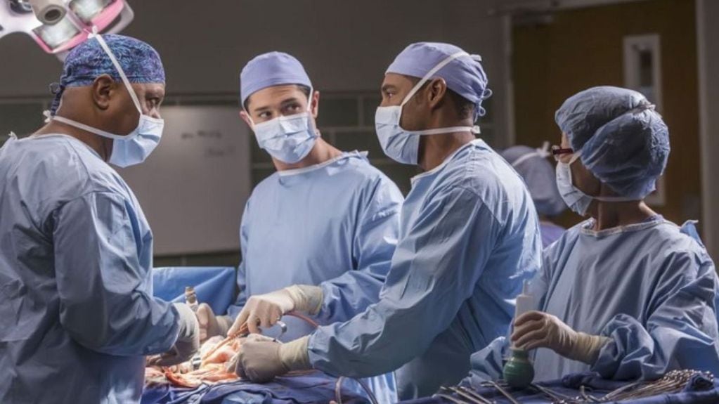 Las escenas de cirugías realizadas con órganos de vaca.