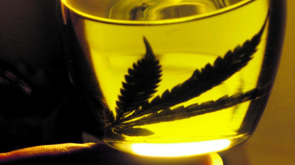 El aceite que se usa para tratar a personas con epilepsia refractaria contiene cannabidiol (CBD) extraído de la planta de marihuana.