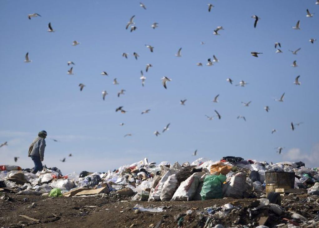 Imagen archivo, 2009.  REUTERS/Enrique Marcarian. Recolectores revuelven entre la basura.