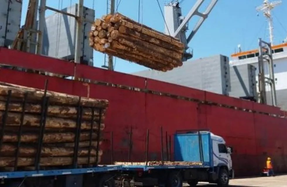 Entre Ríos retoma la exportación de madera desde China