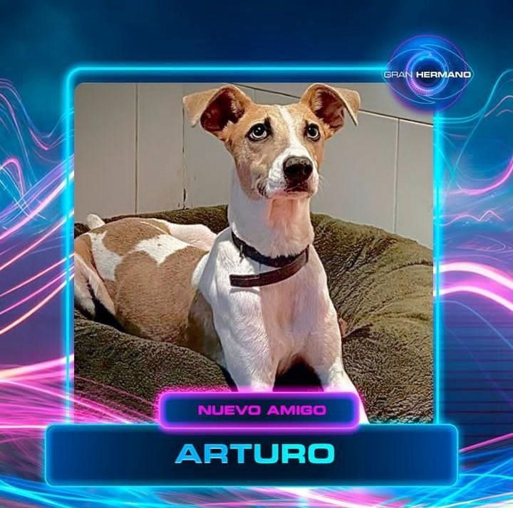Arturo, el nuevo amigo de los participantes de Gran Hermano 2024