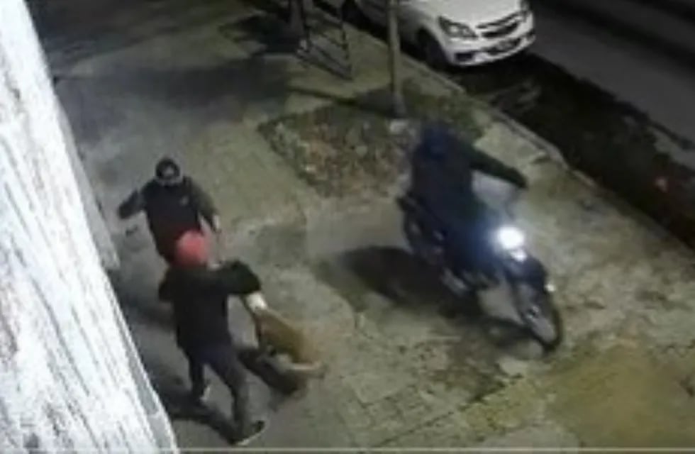 Dos motochorros atacaron con un arma a un hombre que paseaba con su perro en La Plata.