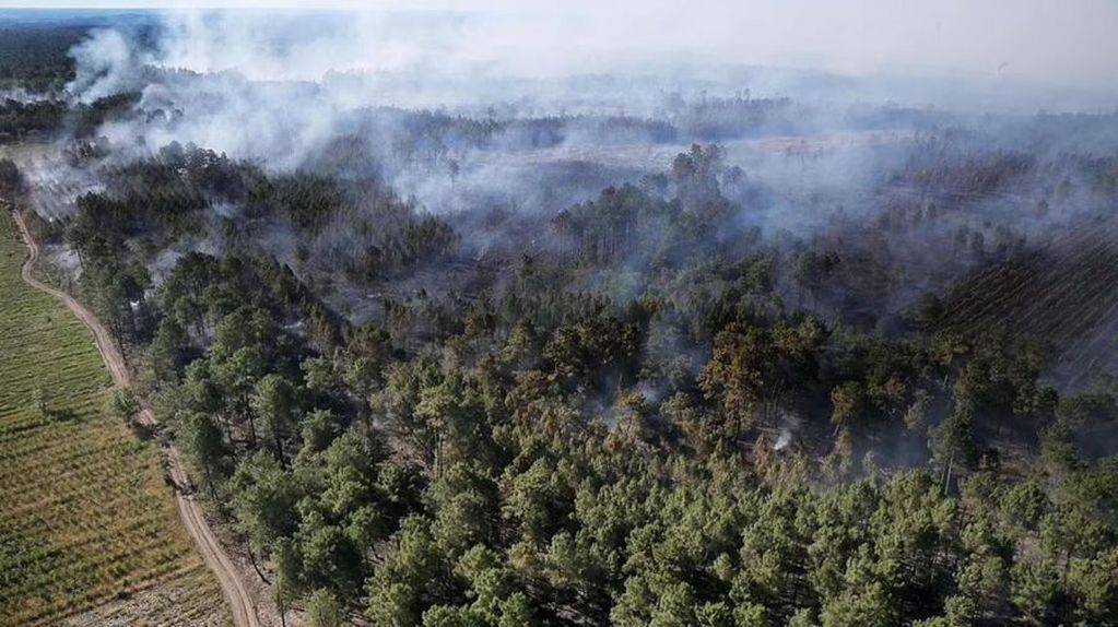 La ola de calor provocó numerosos incendios forestales.