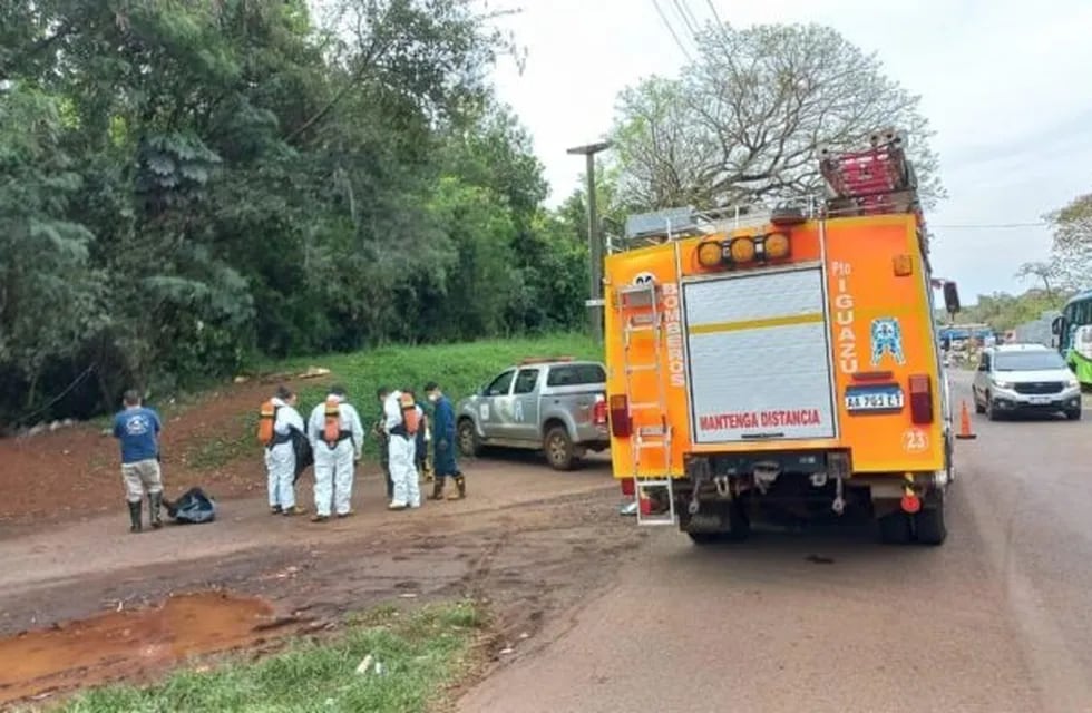Encuentran un cadáver en Puerto Iguazú en avanzado estado de descomposición.