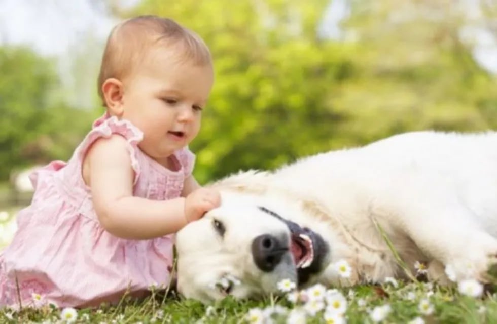 Una dulce escena: un perro le enseña a gatear a una bebé