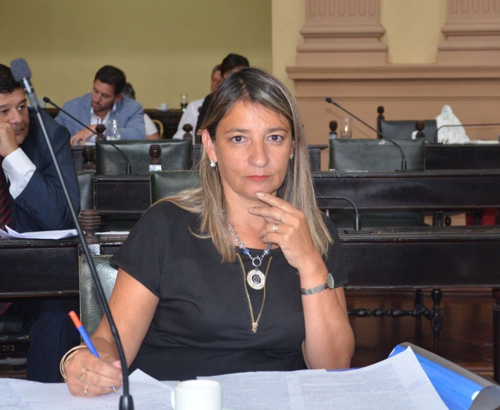 Silvina Abilés busca eximir de votar a las personas de riesgo