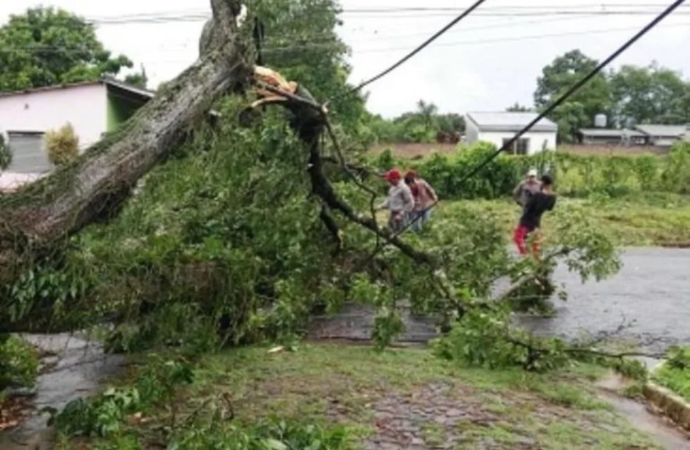 Los fuertes vientos provocaron caídas en el tendido eléctrico de varias localidades. (Foto: María Rosa Fernández).