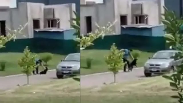 Un vecino de Tafí Viejo fue filmado mientras maltrata a su perro