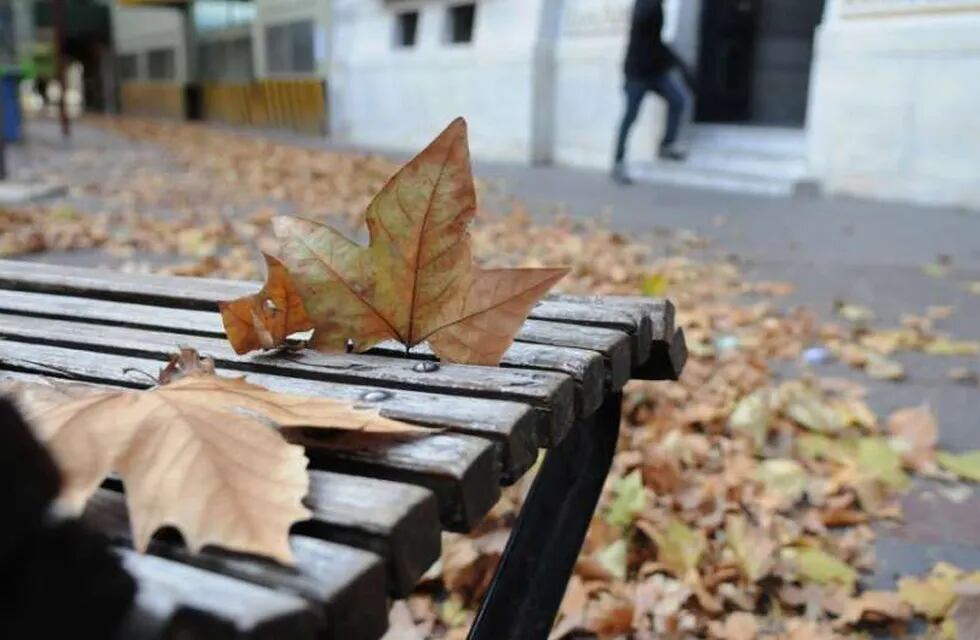Llegó el otoño y recordaron que está prohibida la quema de hojas en la calle. Imagen ilustrativa.