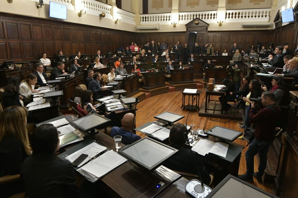 El Senado sesionará este jueves para repudiar el atentado contra Cristina y la oposición no participará