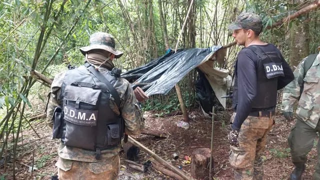 Desmantelan campamento de cazadores furtivos en San Pedro