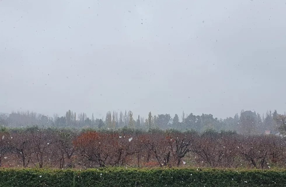 Comenzaron a caer los primeros copos de nieve en el Gran Mendoza.