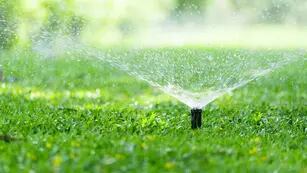 Tres opciones de sistema de riego para tu patio y jardín
