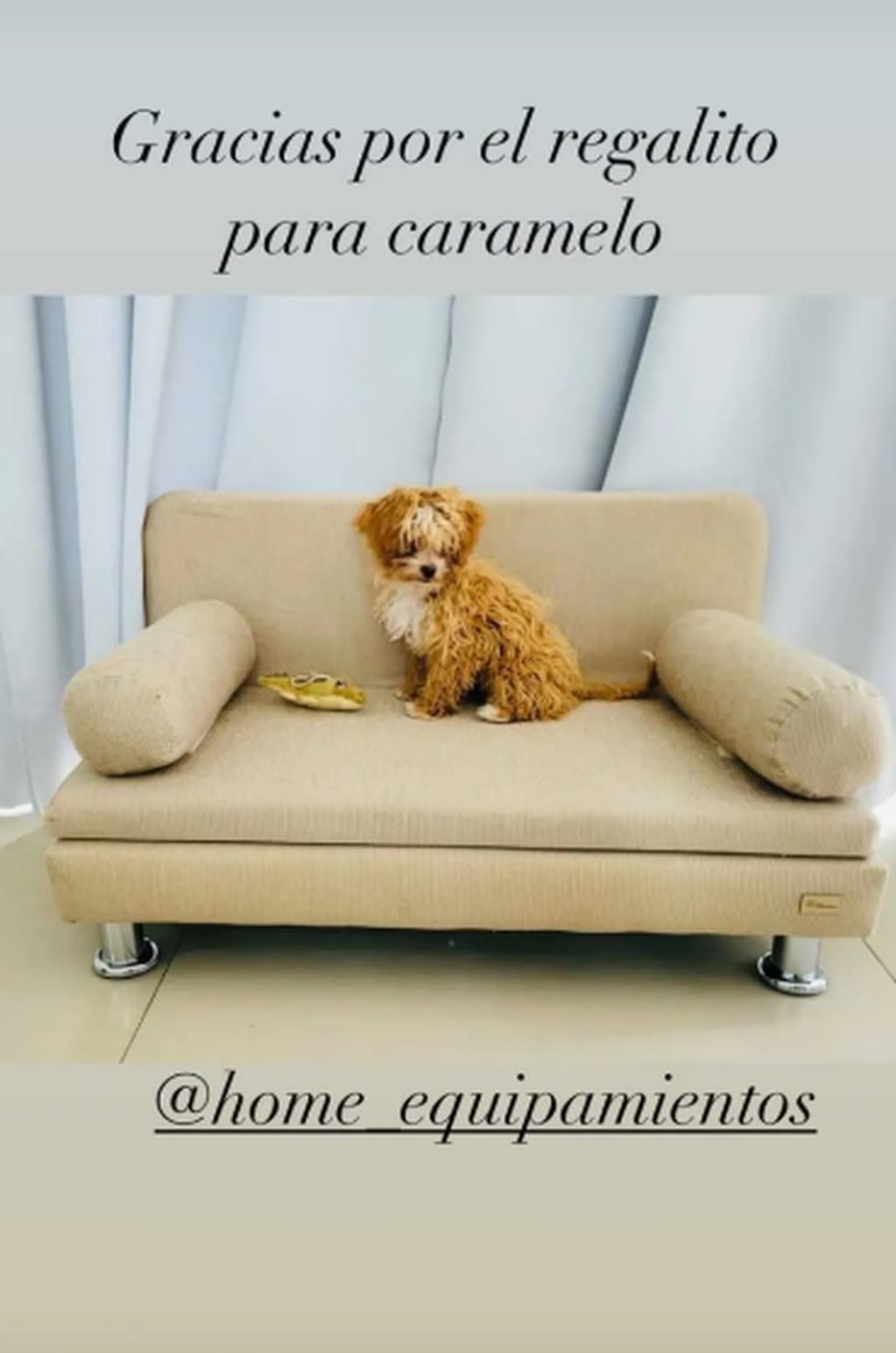 Romina enfrentó las críticas tras ser cuestionada por el estado del perro que adoptó de Gran Hermano, Caramelo / Foto: Instagram