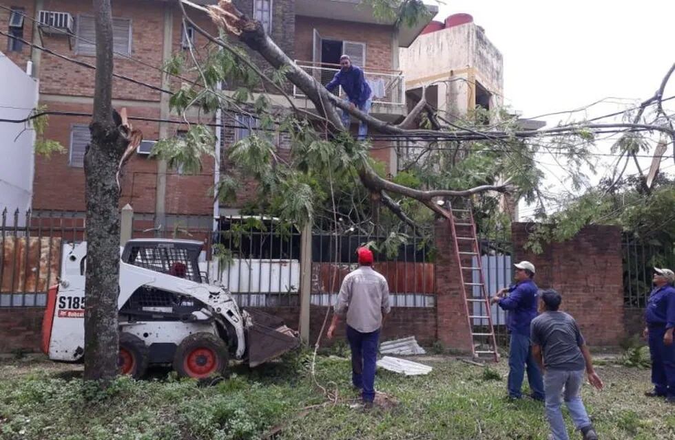 La Municipalidad de Resistencia trabaja para retirar los árboles caídos después del temporal.