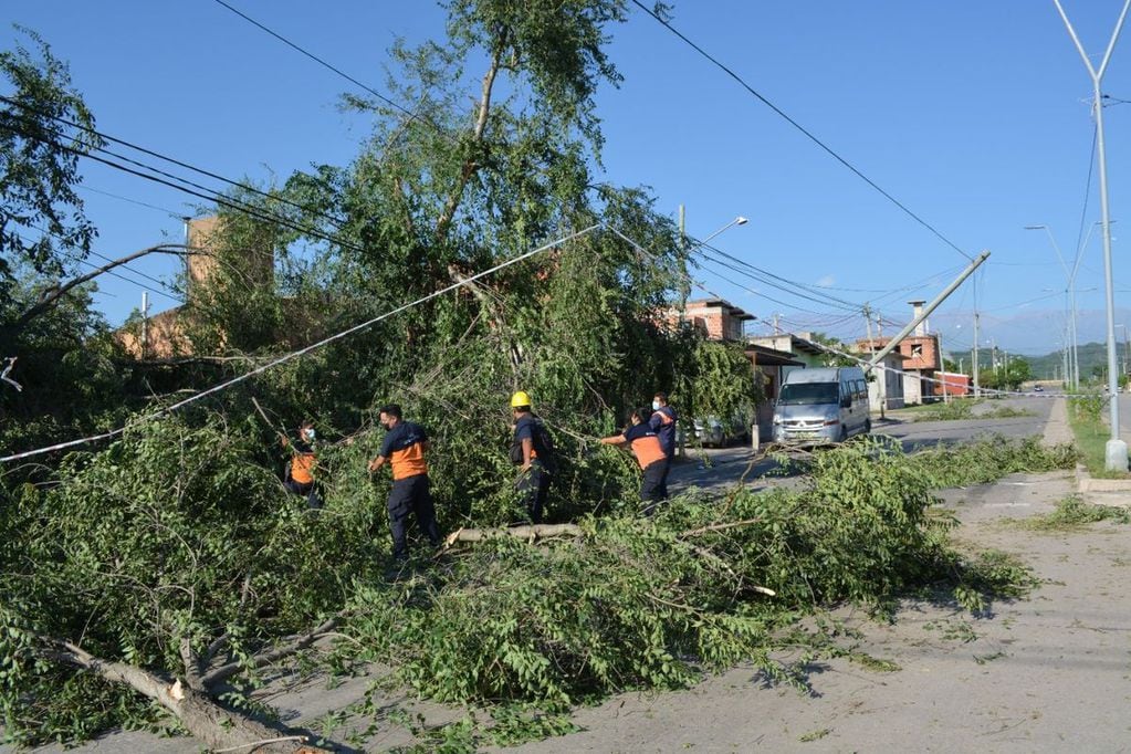 El temporal desatado en las primeras horas de este lunes en Jujuy dejó un saldo de voladura de techos de chapa, domicilios anegados, y numerosos postes, carteles y árboles derribados por el viento, uno de los cuales cayó sobre una vehículo.