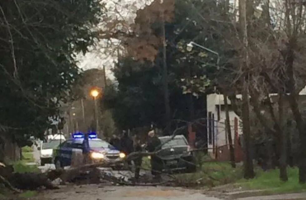 Motociclista murió al chocar con árbol en La Plata