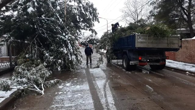 Tareas de poda y recolección de ramas y árboles tras la intensa nevada del miércoles en Carlos Paz.