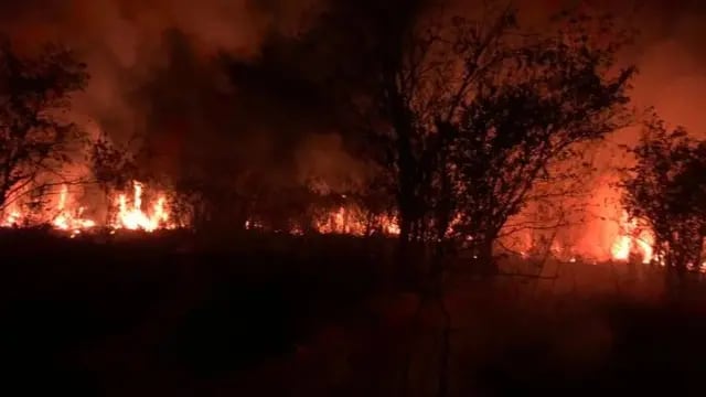 Bomberos Voluntarios de Puerto Rico controlan un incendio en la Reserva Natural Municipal Monte Seguín
