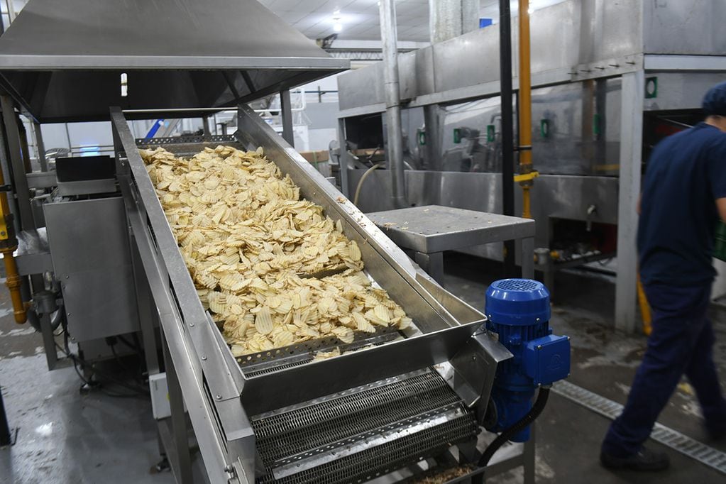 La empresa utilizan papas de las variedades innovator y atlantic para la elaboración de las chips.