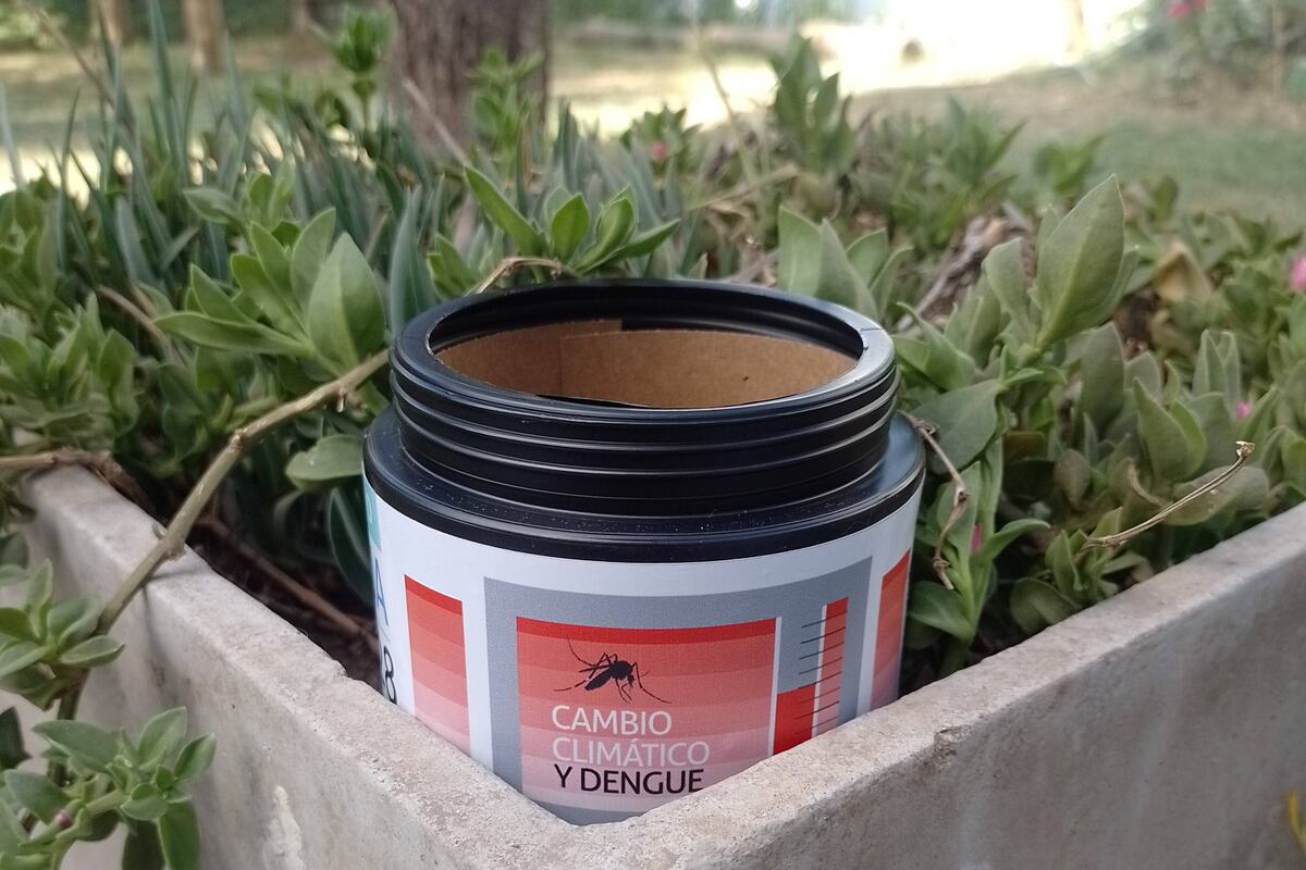 Calor y lluvias en Córdoba: cómo eliminar posibles criaderos de mosquitos de dengue thumbnail