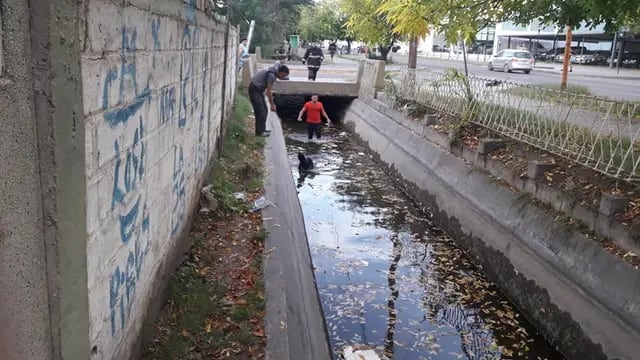 Bomberos rescató un perro del canal Pavez