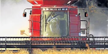 Se esperan menores rendimientos para la soja en el cinturón agrícola (AP).