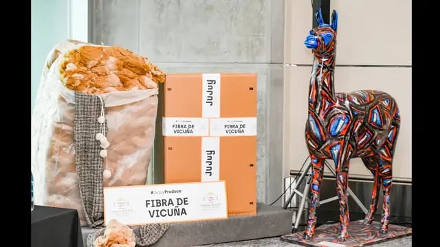 Jujuy exporta fibra de vicuña