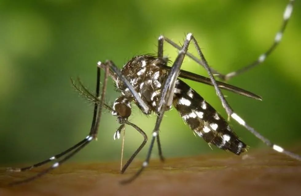 Fumigan por el dengue en la ciudad de San Francisco