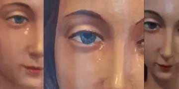 Subieron un video de la virgen María Rosa Mística con lágrimas