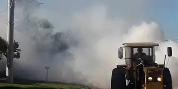 Campaña de Fumigación en Arroyito