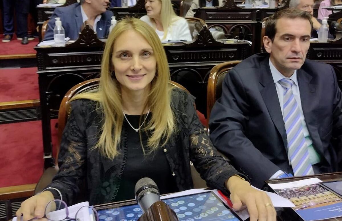 La diputada cordobesa Brouwer de Koning y una explicación insólita por su vacaciones: “Pensé que había terminado el año”