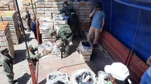 Gendarmería secuestró casi 100 kilos de hojas de coca escondida entre berenjenas