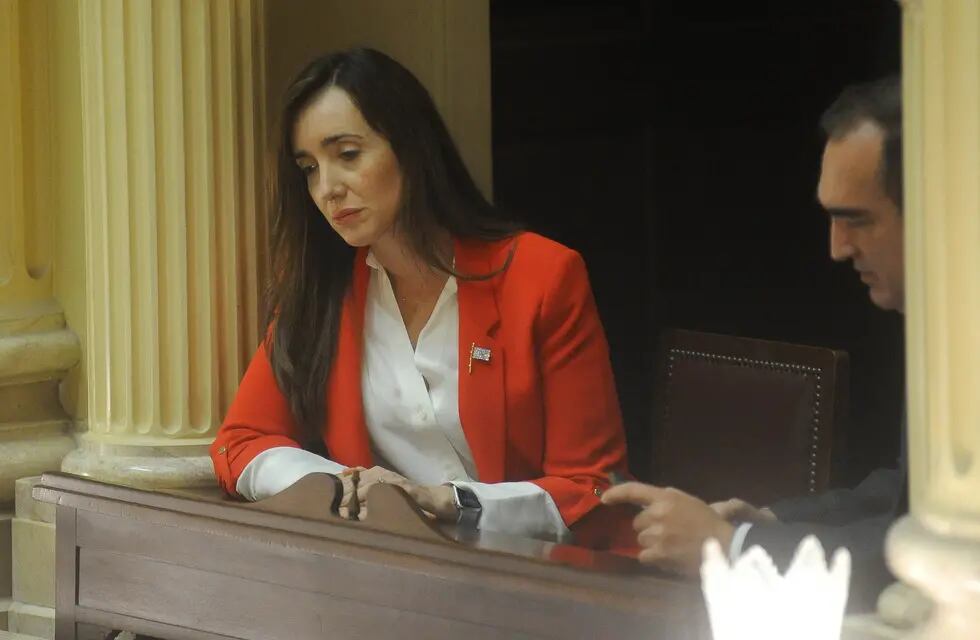 Victoria Villarruel, presidenta del Senado. Foto Federico Lopez Claro