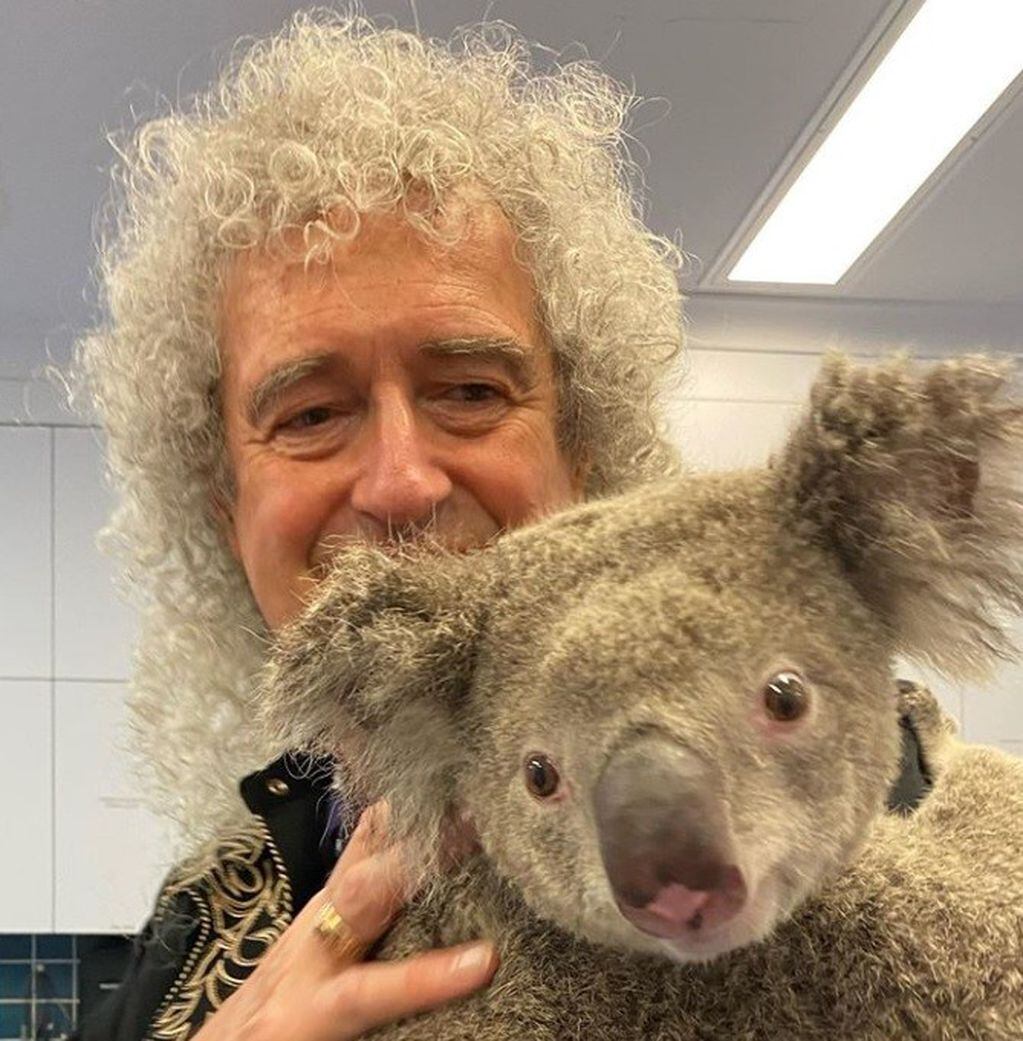 Brian May junto a 'Oso', uno de los koalas rescatados en Australia.