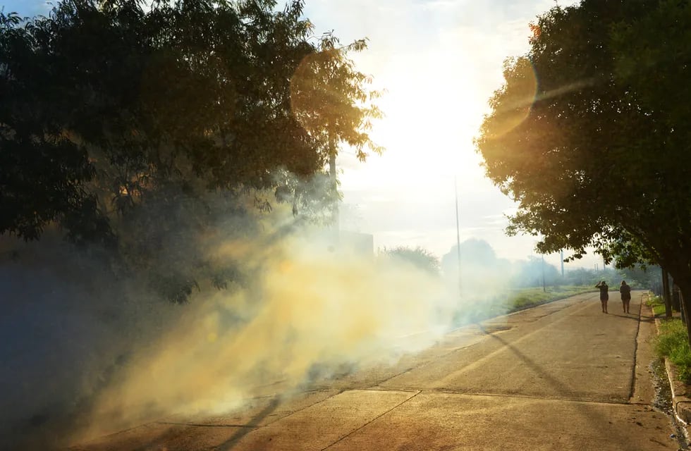 Fumigaciones conta mosquitos en los barrios de Córdoba.