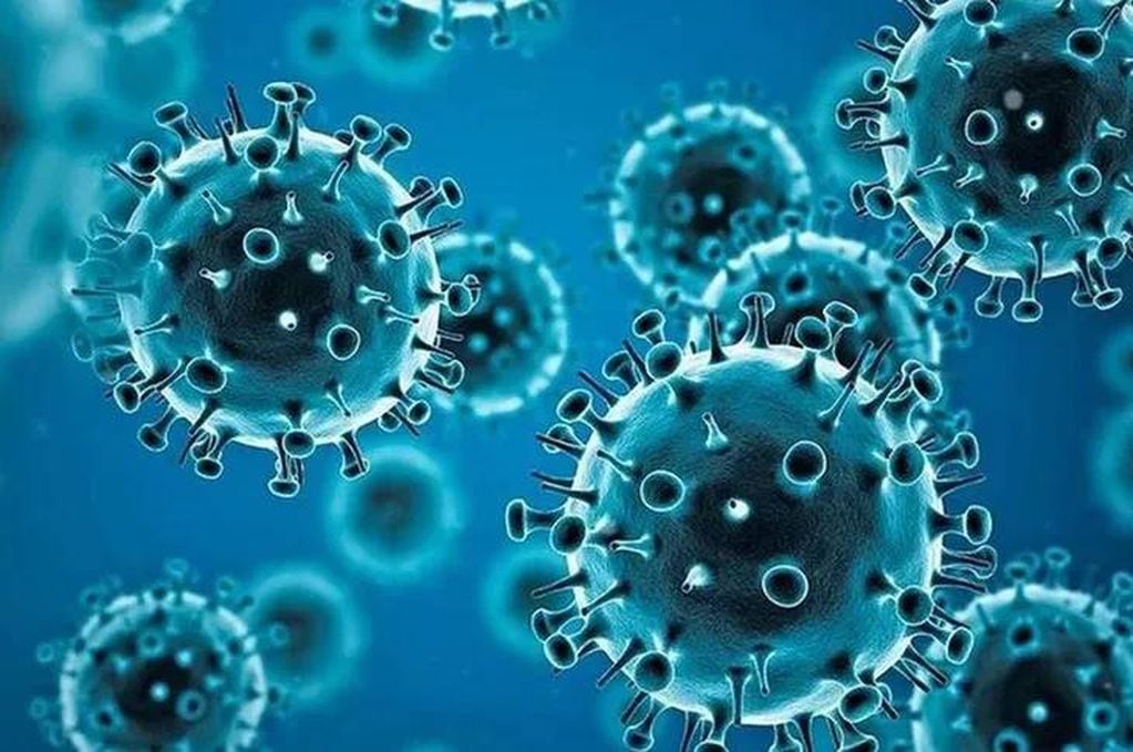 La OMS anunció que vigila una nueva variante de coronavirus y se desconoce su impacto