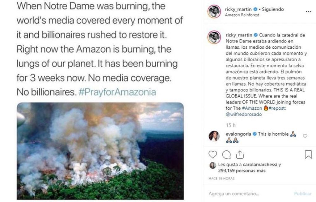 Los famosos llaman a concientizar sobre los incendios en el Amazonas (Instagram)