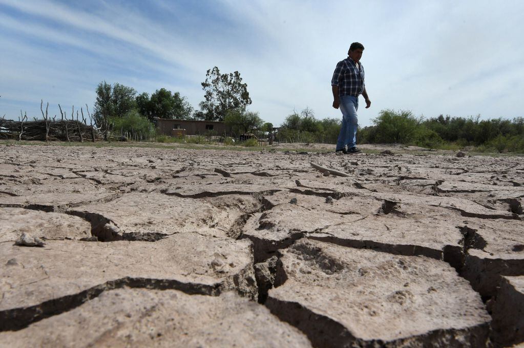 Ricardo Buryaile habló de la sequía que atraviesa Argentina

Foto: Orlando Pelichotti/  Los Andes